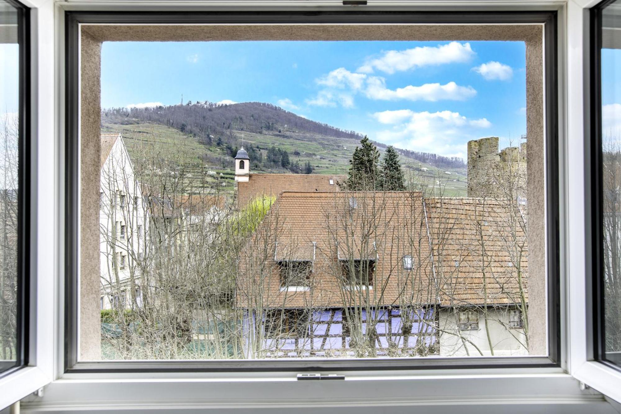 Choupette De La Vallee Avec Garage